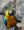 Avians2 scaled e1718790695730 - Avians - Zodiac Pet & Exotic Hospital