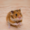 golden hamster cute image